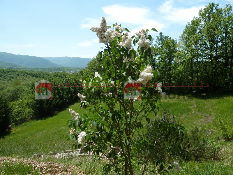 Terreno residenziale Carsoli via della palombara 1