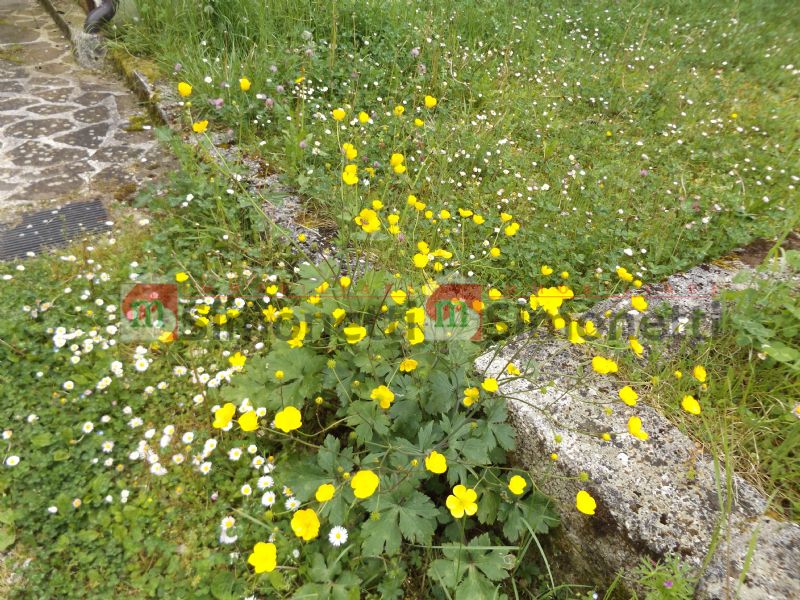 Appartamento Carsoli strada statale 5 QUATER