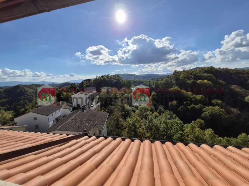 Attico Nespolo via DELLE querce sc