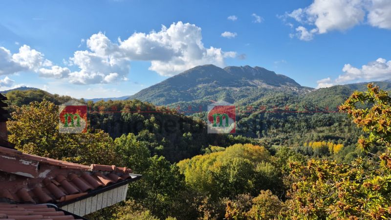 Attico Nespolo via DELLE querce sc