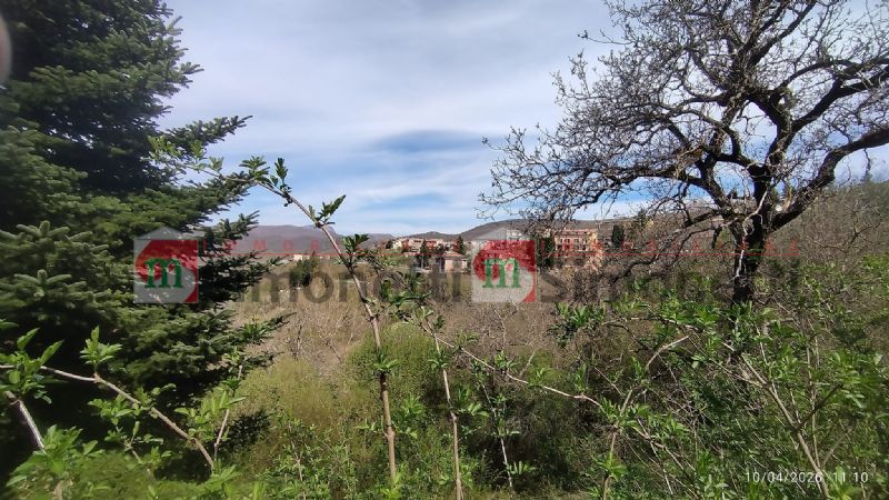 Terratetto Terracielo Nespolo circonvalazione ovest snc