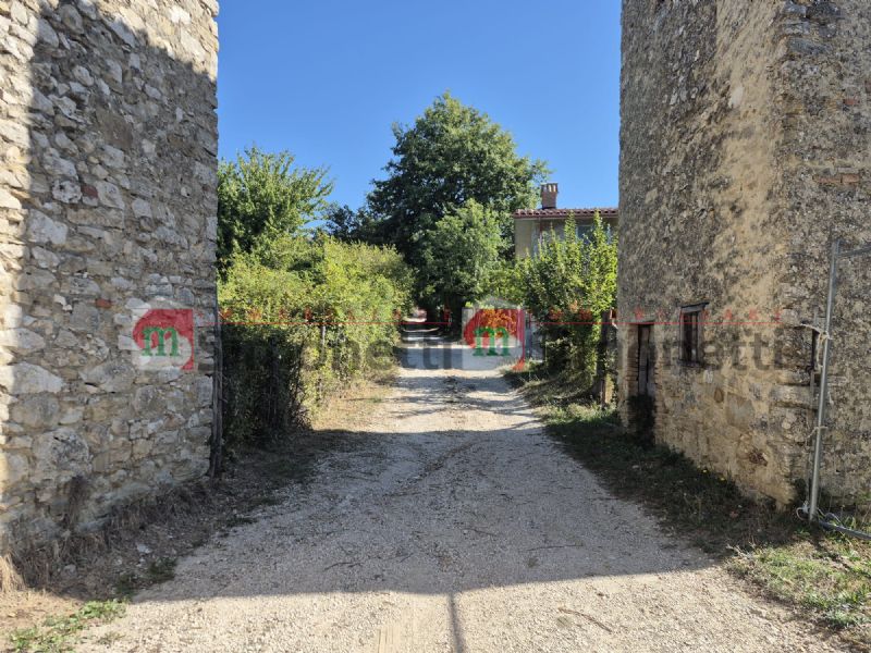 Stabile Palazzo Carsoli via LOCALITA'' MORELLE SNC