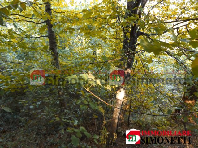 Terreno residenziale Carsoli strada Comunale
